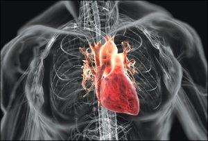 photo from 'heart beat symptoms'